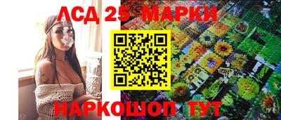 молекула духа Ставрополь
