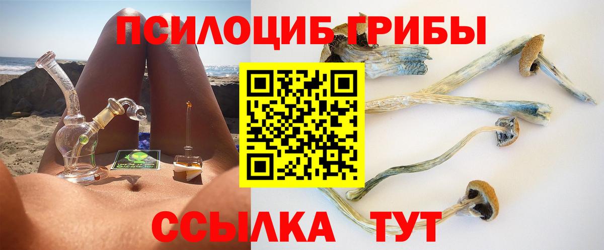 Галлюциногенные грибы прущие грибы Отрадное