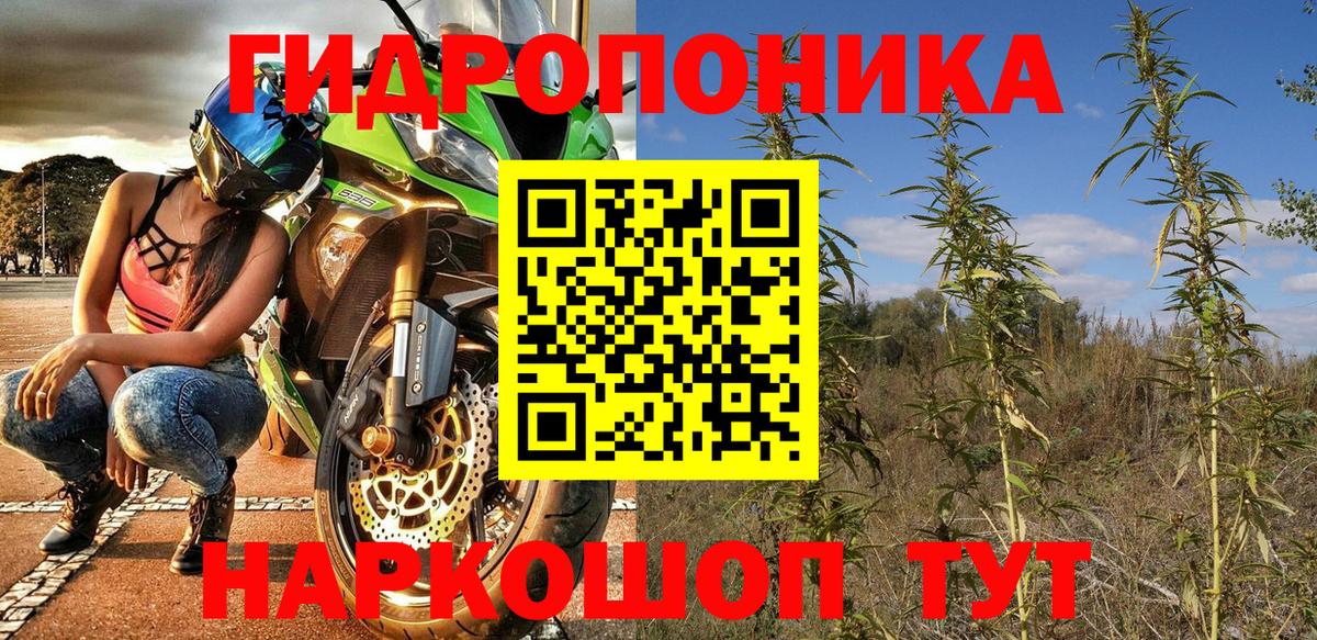 Бошки Шишки семена  МАРИХУАНА индика  Бошки марихуана ГИДРОПОН  Отрадное  Вход с VPN 